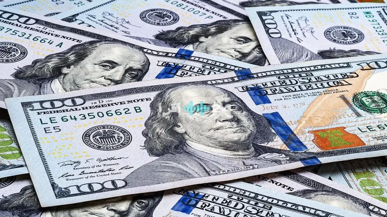 تغيرات أسعار الدولار مقابل الجنيه المصري في البنوك وتأثيرها على حركة الاستثمار